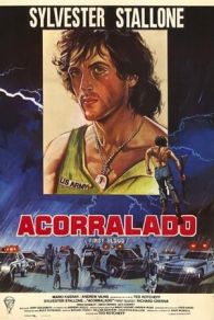 VER Acorralado (1982) Online Gratis HD