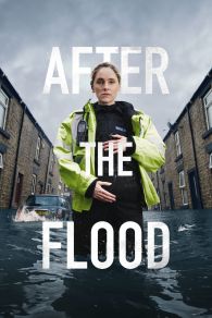 VER After the Flood Online Gratis HD