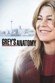 VER Anatomía de Grey (2005) Online Gratis HD