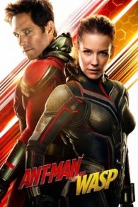 VER Ant-Man y la Avispa (2018) Online Gratis HD