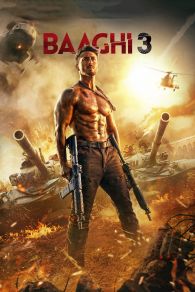 VER Baaghi 3 Online Gratis HD