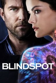 VER Blindspot Online Gratis HD