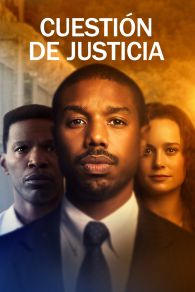 VER Buscando justicia Online Gratis HD