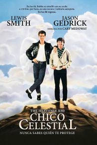 VER Chico celestial Online Gratis HD