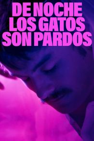 VER De noche los gatos son pardos Online Gratis HD