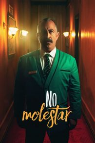 VER No molestar Online Gratis HD