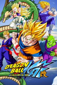 VER Dragon Ball Z Kai Online Gratis HD