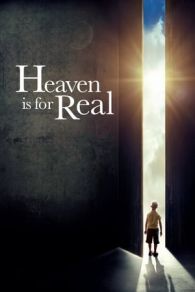 VER El cielo es real (2014) Online Gratis HD