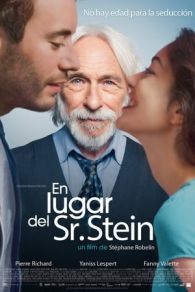 VER En lugar del Sr. Stein (2017) Online Gratis HD