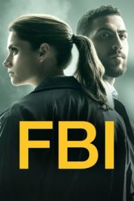 VER F.B.I. Online Gratis HD