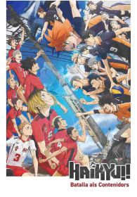 VER HAIKYU!! La batalla del basurero Online Gratis HD