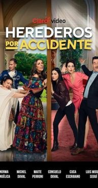 VER Herederos por accidente (2020) Online Gratis HD