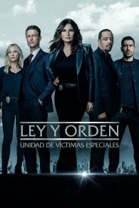 VER La Ley y el Orden: Unidad de Víctimas Especiales Online Gratis HD