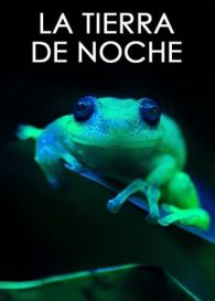 VER La Tierra de Noche (2020) Online Gratis HD