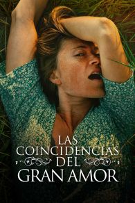 VER Las Coincidencias del Gran Amor Online Gratis HD