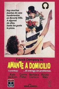 VER Loverboy: Amante a domicilio Online Gratis HD