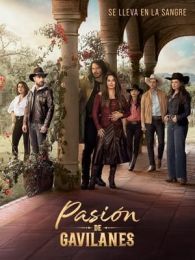 VER Pasión de gavilanes Online Gratis HD