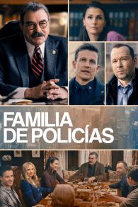 VER Códigos de familia Online Gratis HD