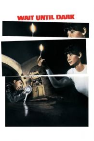 VER Sola en la oscuridad (1967) Online Gratis HD