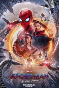 VER Spider-Man: No Way Home (2021) Online Gratis HD