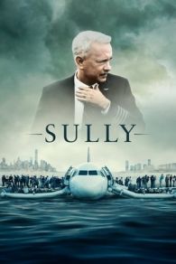 VER Sully (2016) Online Gratis HD