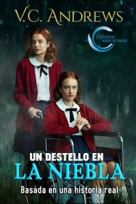 VER Un destello en la niebla Online Gratis HD